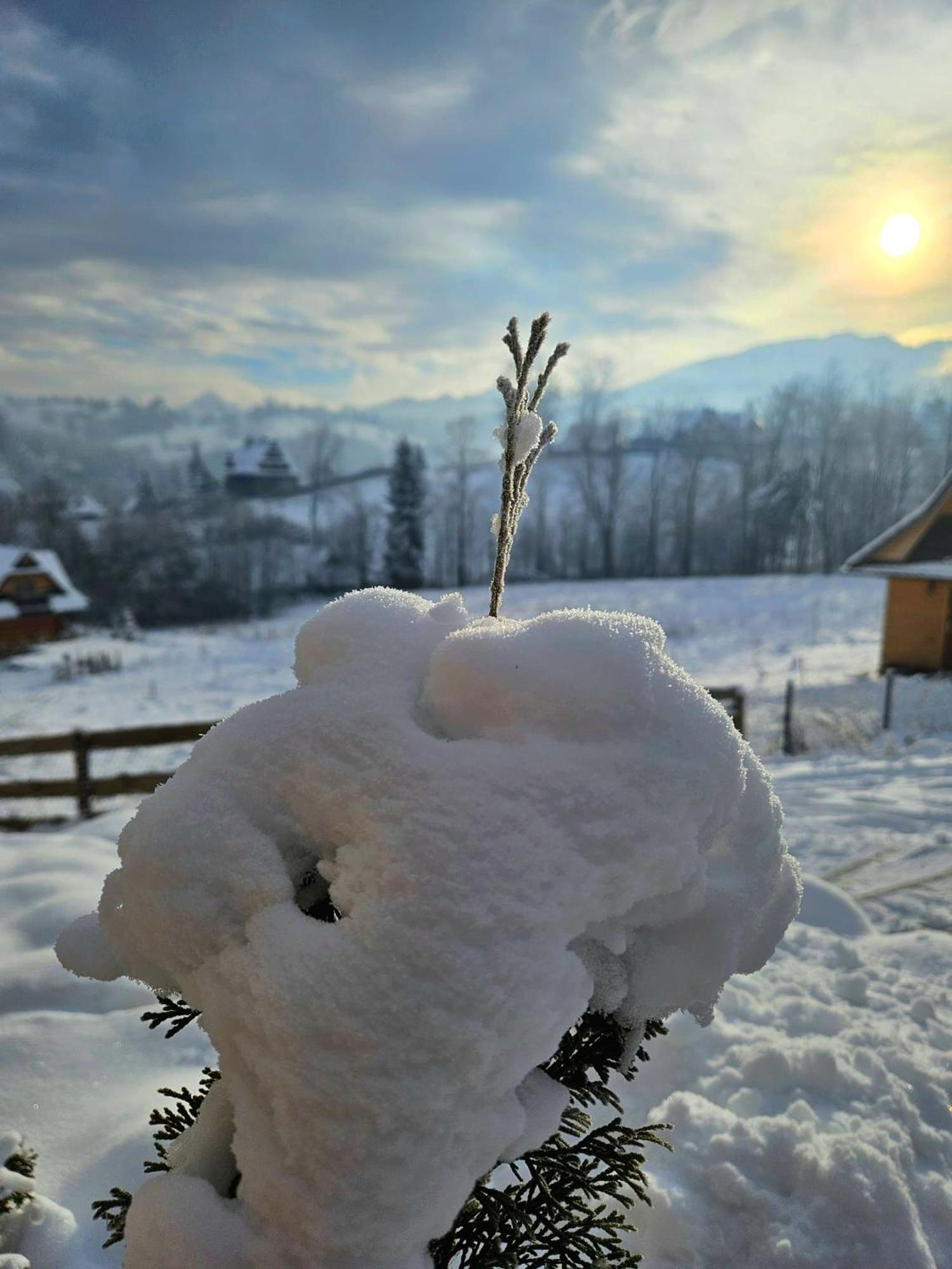 Goralska Chatka 3 Highland Cottage - Jacuzzi, Sauna, Split Ac, Private Parking, Mountains View Zakopane Exterior photo
